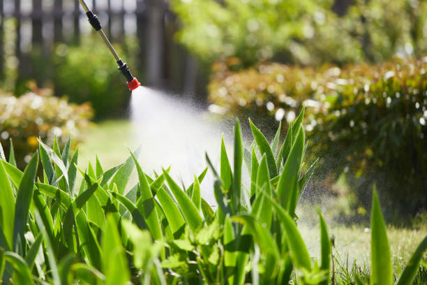 24/7 Emergency Wasp Removal experts in Sandoval, IL