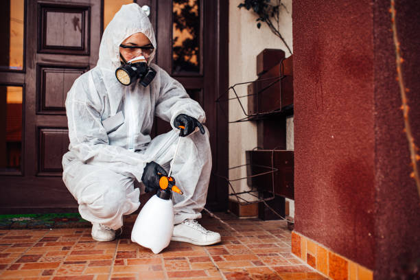 Reliable Wasp Removal contractor in Sandoval, IL by Show Me Pest Control